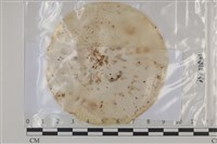 登錄號:F0035207藏品圖，第1張