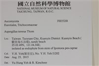 登錄號:F0035208藏品圖，第2張