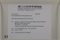 登錄號:F0035209藏品圖，第2張