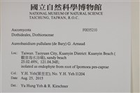 登錄號:F0035210藏品圖，第2張