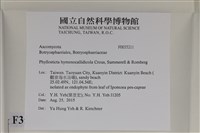 登錄號:F0035211藏品圖，第2張