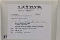 登錄號:F0035212藏品圖，第2張