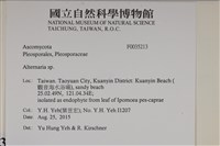 登錄號:F0035213藏品圖，第2張