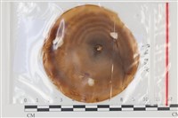 登錄號:F0035213藏品圖，第1張