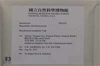 登錄號:F0035214藏品圖，第2張