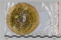 登錄號:F0035214藏品圖，第1張