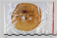 登錄號:F0035215藏品圖，第1張