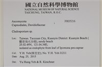 登錄號:F0035216藏品圖，第2張