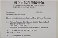 登錄號:F0035219藏品圖，第2張