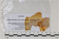 登錄號:F0035220藏品圖，第1張