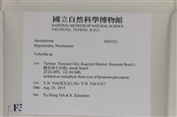 登錄號:F0035221藏品圖，第2張