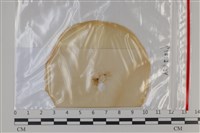 登錄號:F0035221藏品圖，第1張