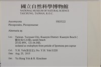 登錄號:F0035222藏品圖，第2張