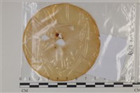 登錄號:F0035222藏品圖，第1張