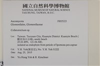 登錄號:F0035223藏品圖，第2張