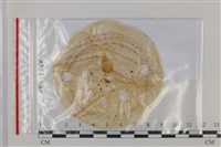 登錄號:F0035223藏品圖，第1張