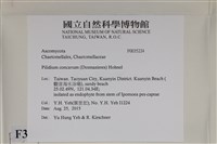 登錄號:F0035224藏品圖，第2張