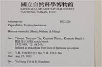 登錄號:F0035226藏品圖，第2張