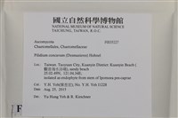 登錄號:F0035227藏品圖，第2張
