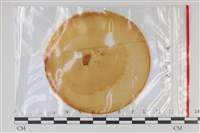 登錄號:F0035227藏品圖，第1張