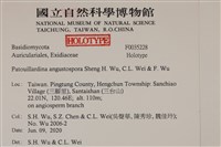 登錄號:F0035228藏品圖，第2張