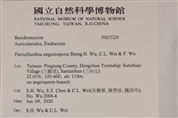 登錄號:F0035229藏品圖，第2張