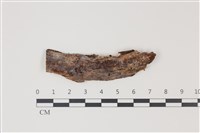 登錄號:F0035229藏品圖，第1張