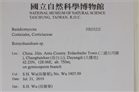 登錄號:F0035232藏品圖，第2張