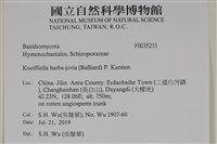 登錄號:F0035233藏品圖，第2張
