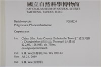 登錄號:F0035234藏品圖，第2張