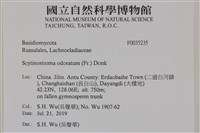 登錄號:F0035235藏品圖，第2張