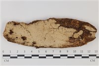 登錄號:F0035235藏品圖，第1張