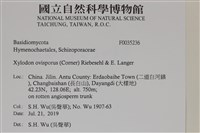 登錄號:F0035236藏品圖，第2張