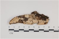 登錄號:F0035236藏品圖，第1張