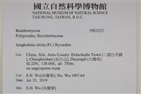 登錄號:F0035237藏品圖，第2張