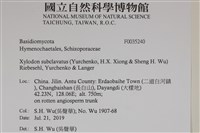 登錄號:F0035240藏品圖，第2張