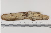 登錄號:F0035240藏品圖，第1張