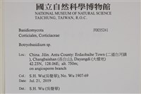 登錄號:F0035241藏品圖，第2張