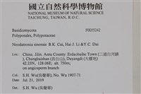 登錄號:F0035242藏品圖，第2張