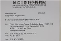 登錄號:F0035243藏品圖，第2張