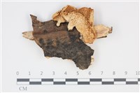 登錄號:F0035243藏品圖，第1張