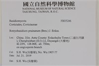 登錄號:F0035246藏品圖，第2張