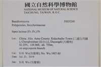 登錄號:F0035248藏品圖，第2張