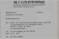 館號:F0035249藏品圖，第2張