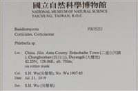 登錄號:F0035252藏品圖，第2張