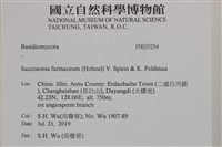 登錄號:F0035254藏品圖，第2張