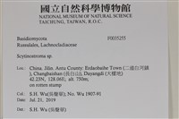 登錄號:F0035255藏品圖，第2張