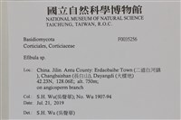 登錄號:F0035256藏品圖，第2張