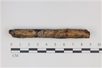 登錄號:F0035256藏品圖，第1張