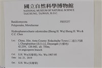 登錄號:F0035257藏品圖，第2張